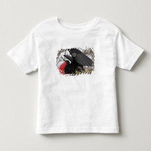 T-shirt Fragata Magnífica