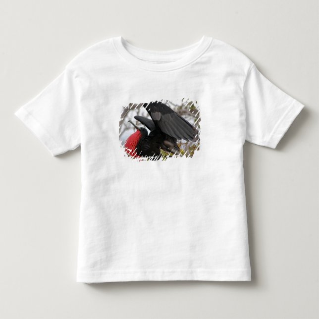 T-shirt Fragata Magnífica (Frente)
