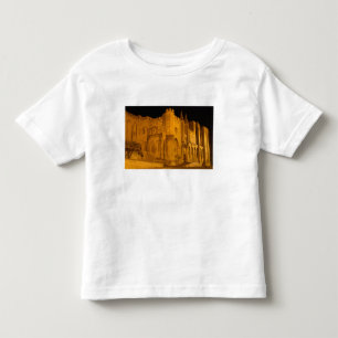 T-shirt França, Avinhão, Provença, Palácio Papal à noite 2