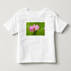 T-shirt Franklin NC, Jardim de Água de Perry, Lótus