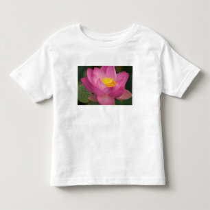 T-shirt Franklin NC, Jardim de Água de Perry, Lótus 2