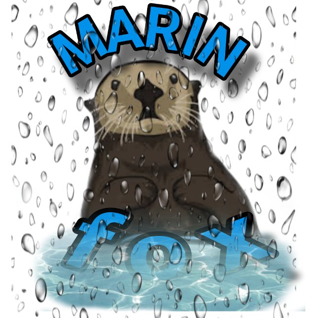 T-shirt FREEDOM ✊🏻 (Criador carregado)