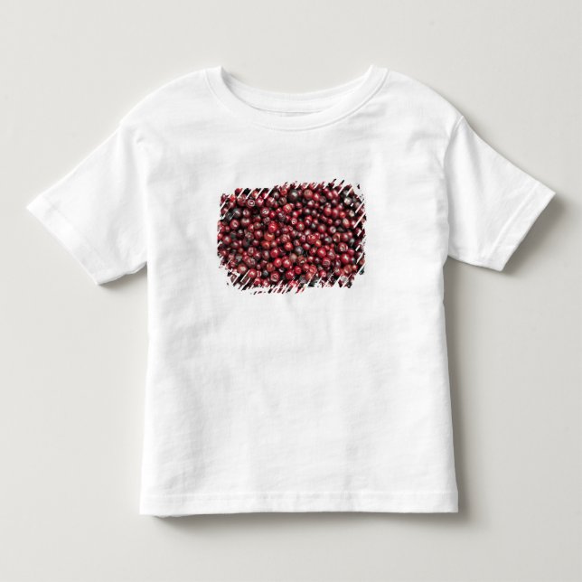 T-shirt Frutas vermelhas do Himalaia (Frente)