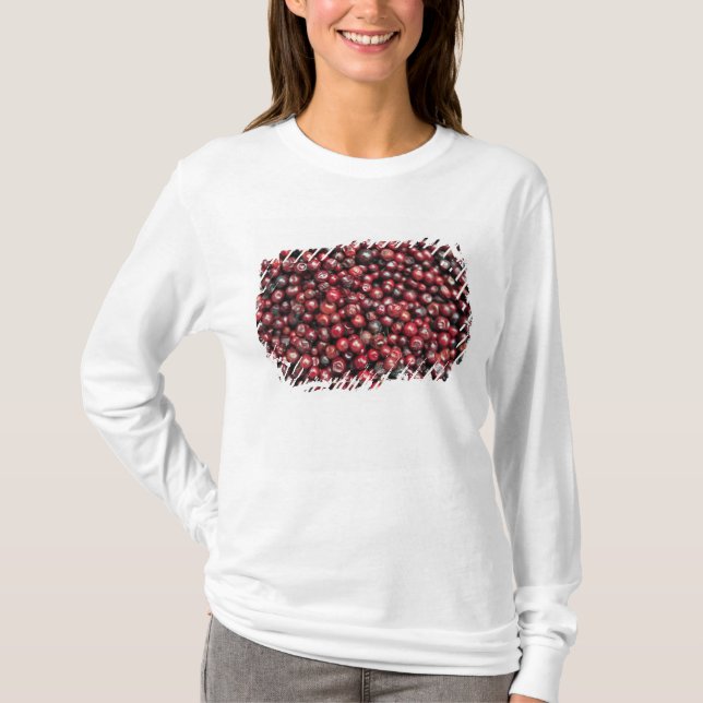 T-shirt Frutas vermelhas do Himalaia (Frente)