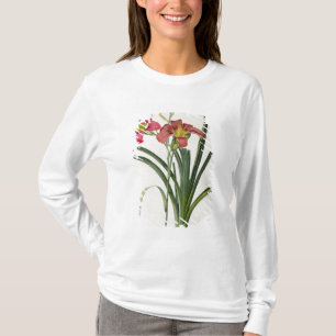 T-shirt Fulva do Hemerocallis, de "Les Liliacees", 1805