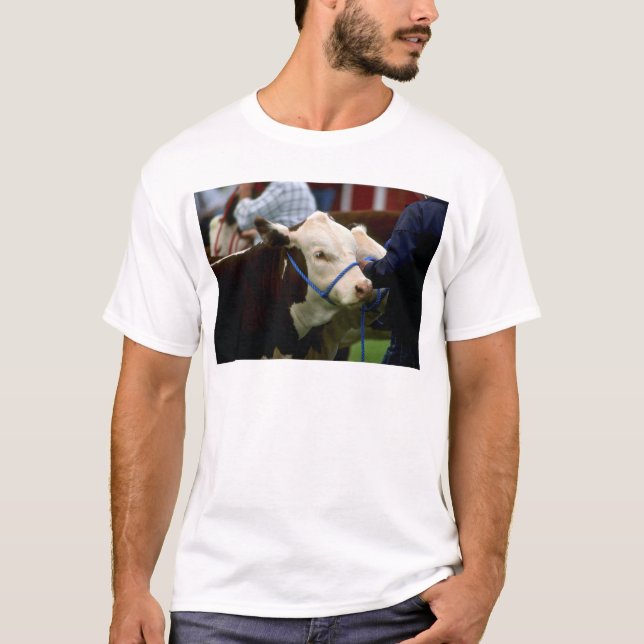 T-shirt Gado de Hereford (Frente)