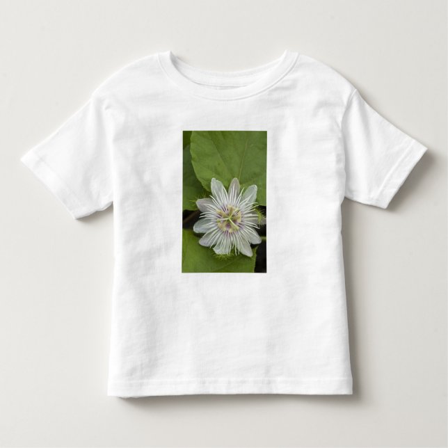 T-shirt Galápagos Flor Passiflora foetida (Frente)