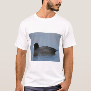 T-shirt Galeirão euro-asiático ou comum, atra do fulicul