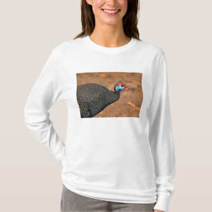 T-shirt Galinha-d'angola (Numida meleagris). África,