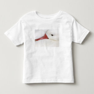 T-shirt Ganso da Neve Chen caerulescens