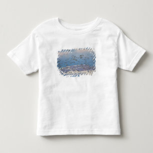 T-shirt Gansos da neve durante a migração da primavera
