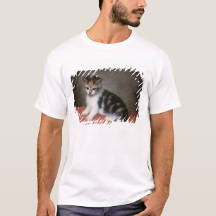T-shirt Gatinho de George Stubbs   da senhorita Ann