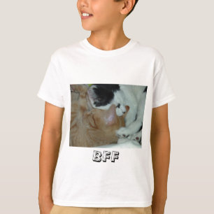 T-shirt Gatinhos apaixonados