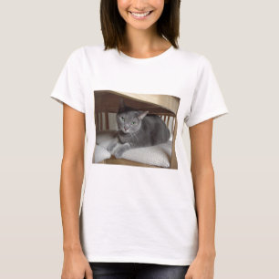 T-shirt Gato Cinza/Azul Russo