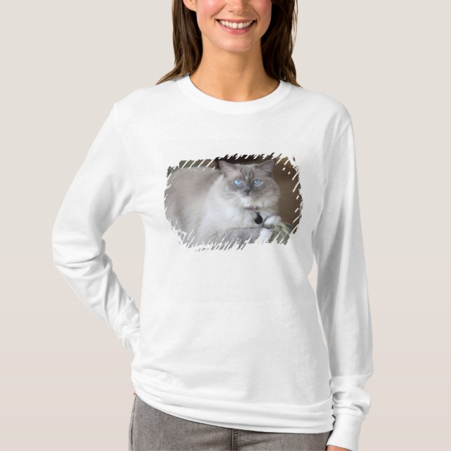 T-shirt Gato de Ragdoll feminino (Frente)