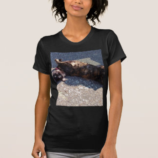 T-shirt Gato de TortoisesInferno