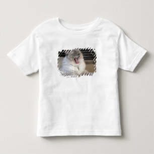 T-shirt gato Neva Masquerade bocejando