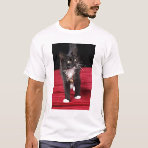 T-shirt Gato preto e branco de cabelos curtos, 2 1/2 meses