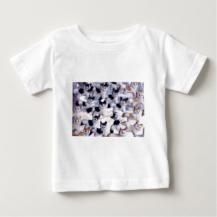 T-shirt gatos assustadores