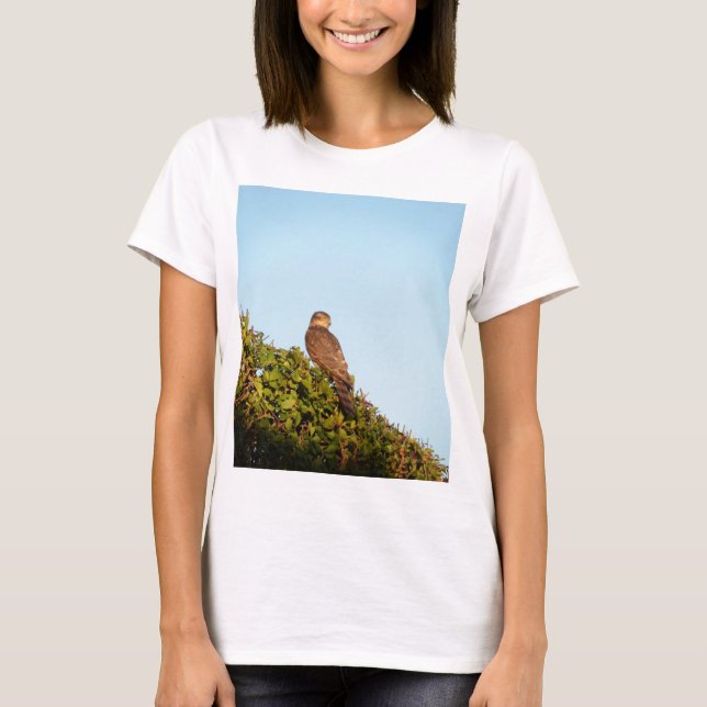 T-shirt Gavião-americano (Frente)