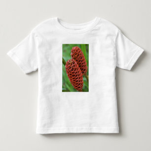 T-shirt Gengibre Colmeia, Zingiber spectabile),