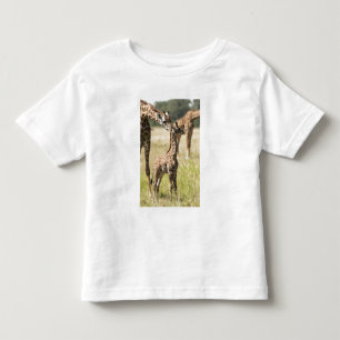T-shirt girafas Masai, Giraffa camelopardalis 2