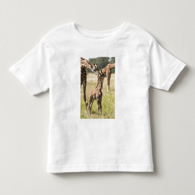 T-shirt girafas Masai, Giraffa camelopardalis 2 (Frente)