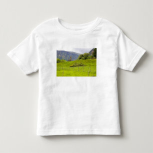 T-shirt Glendalough, Irlanda. Glendalough é um dos