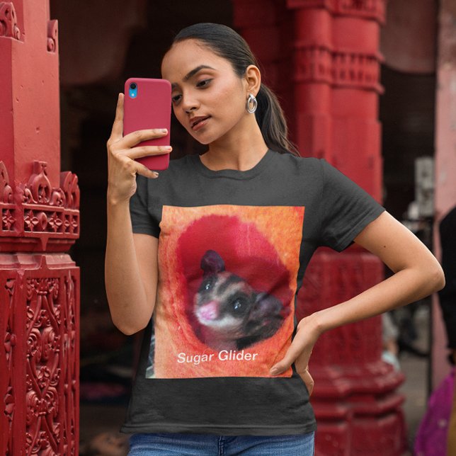 T-shirt Glider de Açúcar na Cama Laranja (Sugar Glider in Orange Hanging Bed Womens T-Shirt)