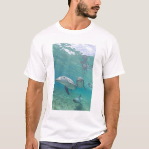 T-shirt Golfinho-nariz-de-garrafa Tursiops truncatus