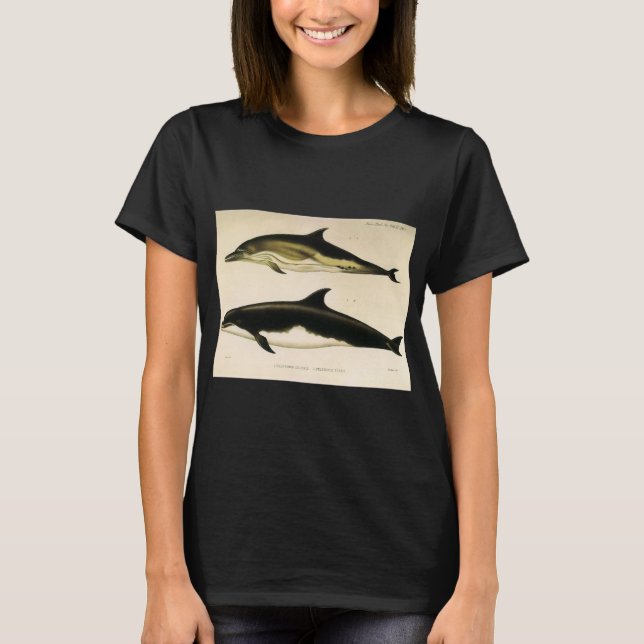 T-shirt Golfinhos-Vintage, Animais Marinhos e Mamíferos (Frente)