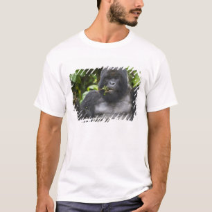 T-shirt Gorila da Montanha e Dorso Prateado