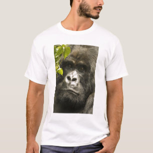 T-shirt Gorila-da-montanha, Gorilla beringei beringei,