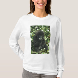 T-shirt Gorila da Montanha, (Gorilla gorilla beringei),