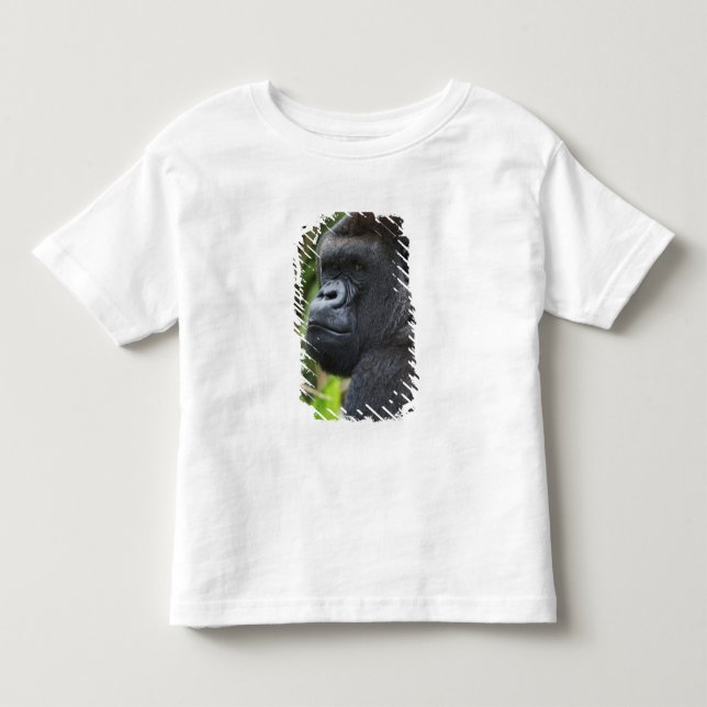 T-shirt Gorila-de-costas-baixas Silverback, Gorila Cativo (Frente)