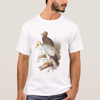 T-shirt Gould - abutre egípcio - percnopterus do Neophron