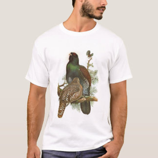 T-shirt Gould - galo silvestre - urogallus do Tetrao