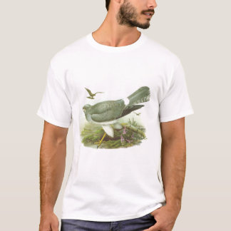 T-shirt Gould - Harrier de galinha - cyaneus do circo