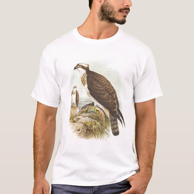 T-shirt Gould - Osprey - haliaetus do Pandion (Frente)