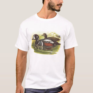 T-shirt Gould - pato do Harlequin - histrionicus de