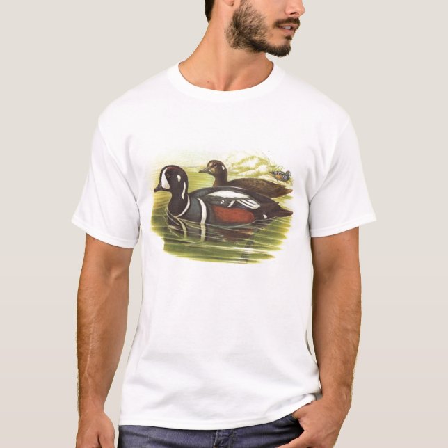 T-shirt Gould - pato do Harlequin - histrionicus de (Frente)