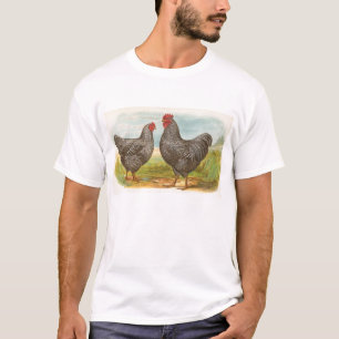 T-shirt Graham - Barred Plymouth Rocks Chickens