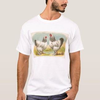 T-shirt Graham - Galinhas Claras Brahma