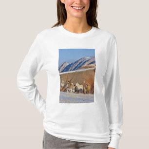 T-shirt Grandes Montanhas Horn, Cavalos correndo