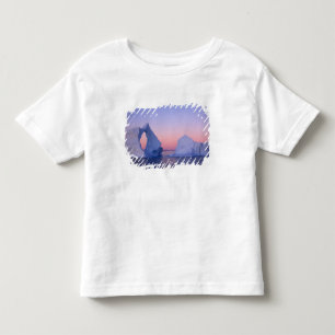 T-shirt Groenlândia, Iceberg ao pôr do sol.