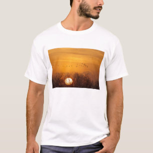 T-shirt Grouves-da-areia silhuetados contra o sol nascente