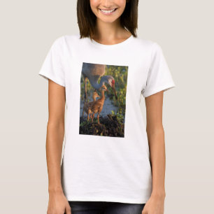 T-shirt Grua-de-areia-com filhotes, Flórida