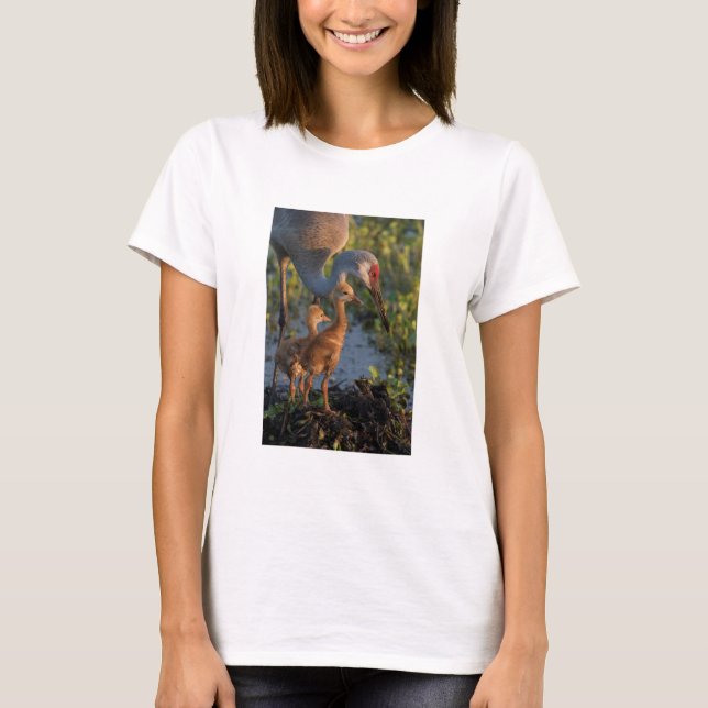 T-shirt Grua-de-areia-com filhotes, Flórida (Frente)
