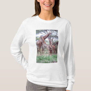 T-shirt Grupo de girafas ou manada com filhotes, Giraffa