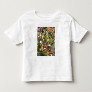 T-shirt Grupos de tulipas coloridas
